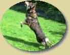 Lukas der Flieger * 448 x 348 * (112KB)